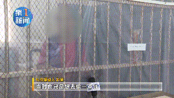 蒲城|潜逃17年在西安抓住了！陕西一男子入室抢劫杀人