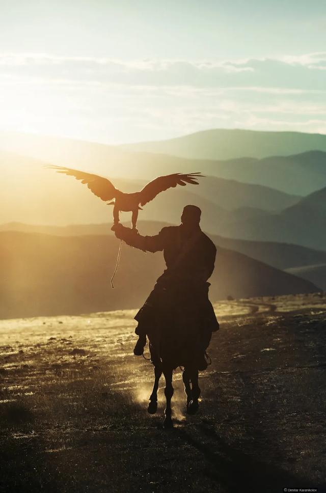  高尔基|高尔基：在生活面前，希望你可以主宰自己的生活