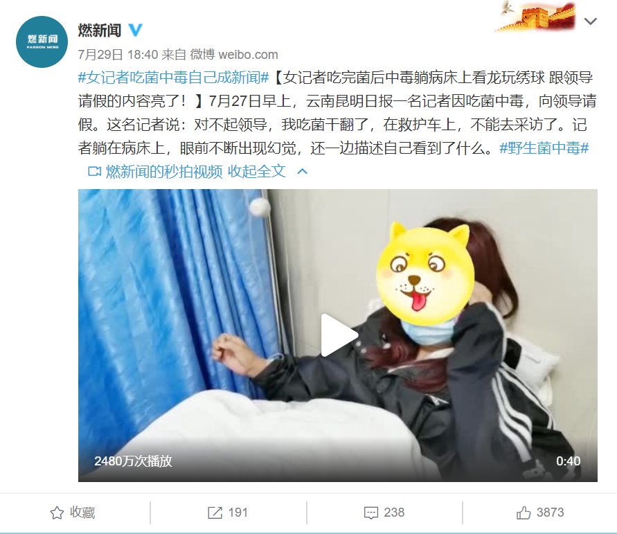  新闻|＂毒蘑菇致幻＂新闻频上热搜，竟还有人想以身试毒