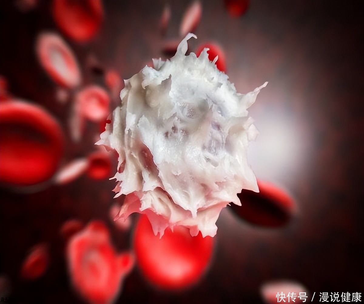 每年有800万人死于癌症？为何癌细胞会转移，或存在这2点原因2023