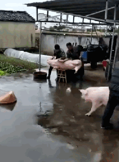 要钱|当你生病了女朋友去医院照顾你?,男生和女生要钱时候的区别