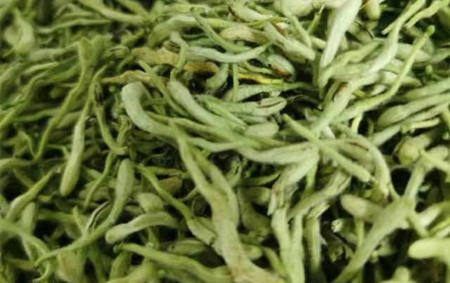  荒山|荒山只能退耕还林？农民返乡就业想发家致富，种植点啥？