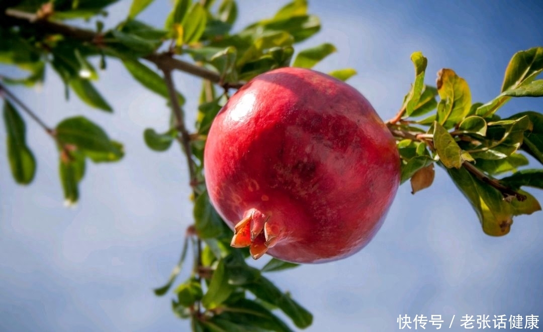 秋天吃石榴营养美味，但是吃石榴也有禁忌，5种人能少碰就少碰2023