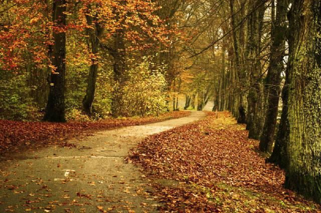  秋景|这一组迷人秋景，美爆了朋友圈！