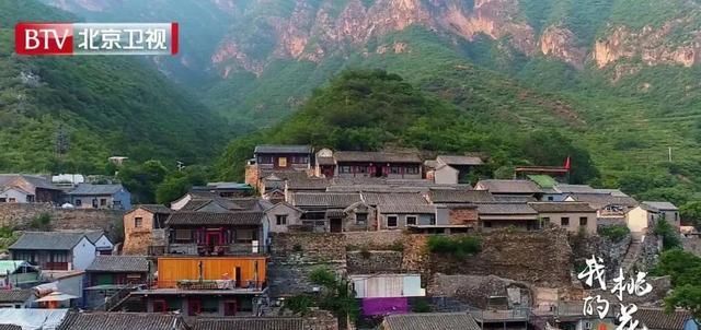  播综艺节目|上周晚间首播综艺收视：《中国好声音2020》《我的桃花源》等表现突出