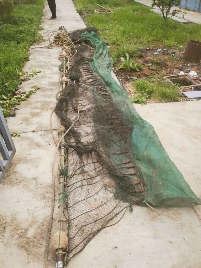 渔业|@南通人 有奖举报,最高奖2万!