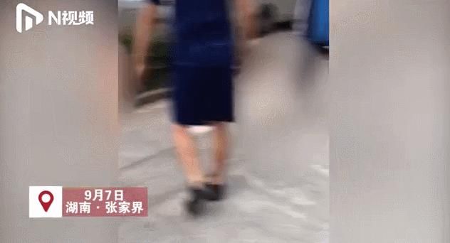 学生|突发！4名学生受伤！