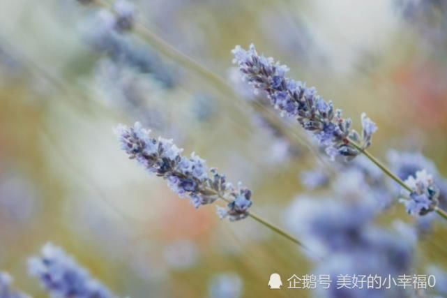  事业|八月开始，事业前程光明，闷头赚钱，运势上等的生肖