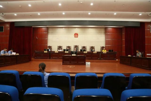法院|苍南有人因抓鸟被判刑!赔了7万8