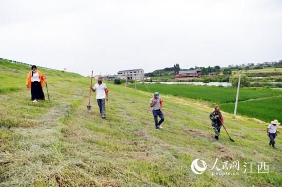 哨位|600米一哨位 鄱阳湖畔村民自发“组团”护大堤