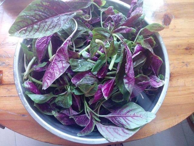  人来说|年过50岁，要管住嘴，不是所有水果蔬菜都能吃，这5样劝你少吃