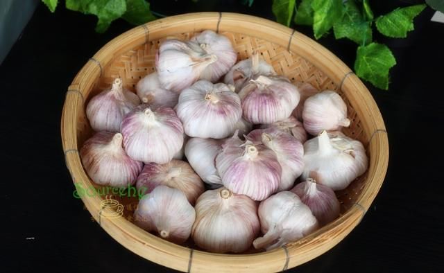  亲朋好友|蒜蓉酱这样做太香了！每年夏天我都要做几十罐，送亲朋好友还不够