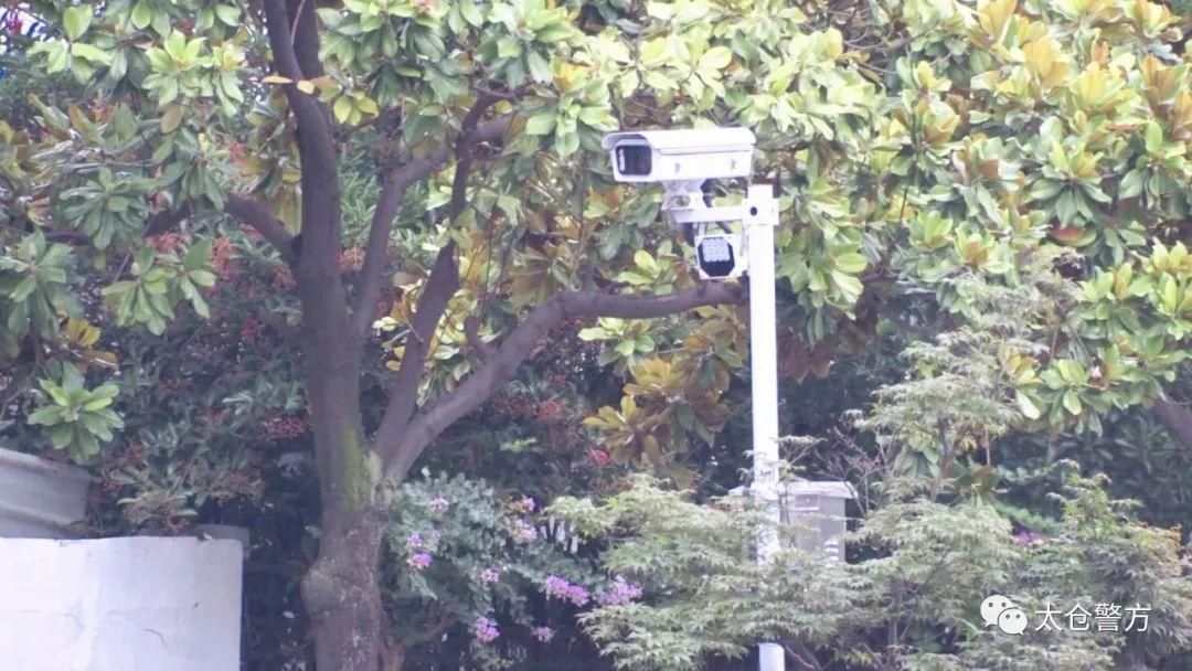 交警部门|苏州首批！电动车抓拍来了！