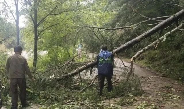  暴雨|受连续暴雨天气影响，天水多条道路通行受阻