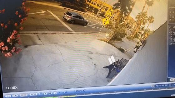 杨连慧|黑人小伙抢劫华人！不料对方是世界拳王！被暴揍落荒而逃 !