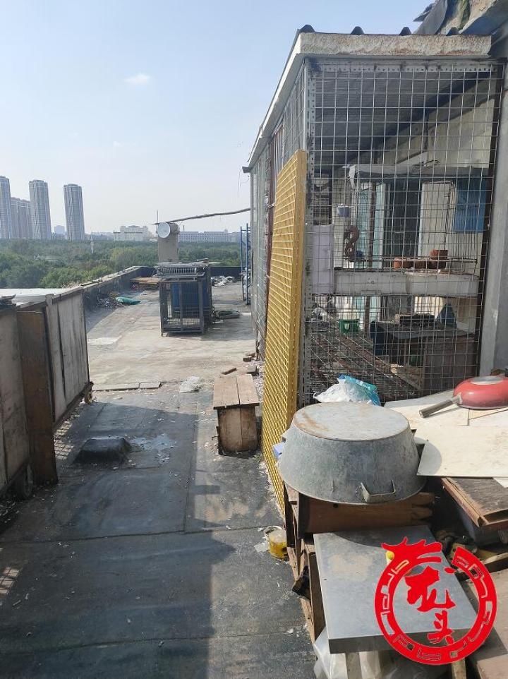 笼子|乐园街1-3号楼顶被鸡笼鸽笼霸占!居民家漏雨没法修