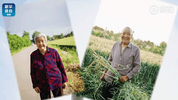 老人|90后小伙为上百位农村老人拍照,“笑容背后的故事,我替他们记得”