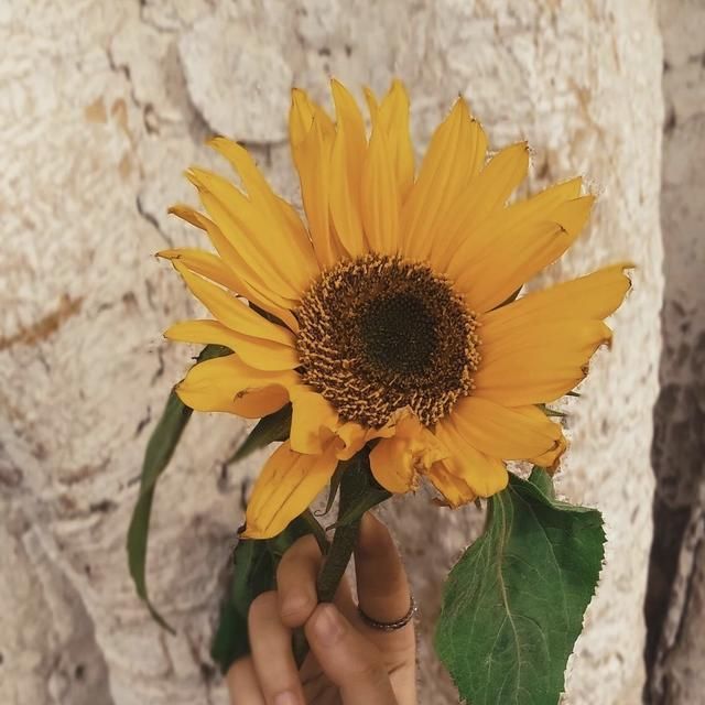  逃避|你逃避恋爱的理由，是患得患失吗？