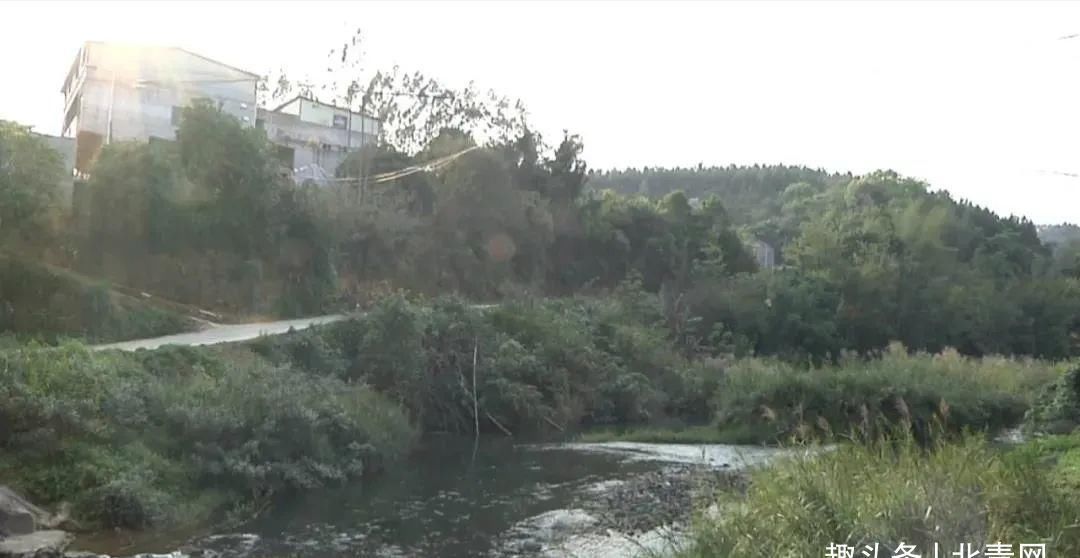  西乡塘公安分局禁毒|甘蔗地里上演惊险追击战！结局是......