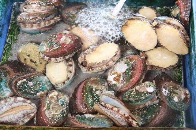 洗干净|第一次带男朋友吃鲍鱼,服务员问他要几头,他的回答让我蜜汁尴尬