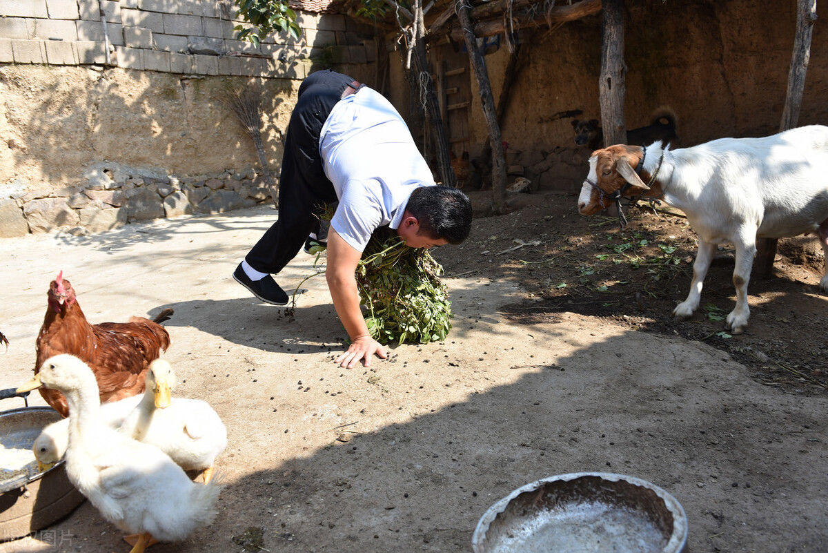 残障|1个残障小伙用手行走，却娶来1位漂亮姑娘，看他有啥本事