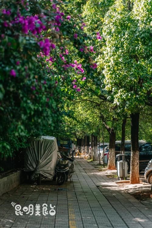 排队|昆明排队三十年老店,15张桌子,“镇店之宝”每天卖半吨