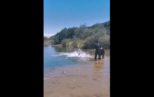  河中|门源一男子不慎落水，他系上安全绳抱起石头跳入河中...