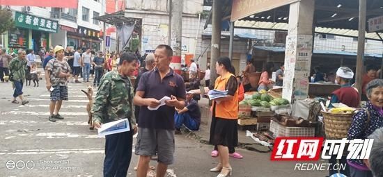 水口镇|桑植县凉水口镇多措并举整治交通问题顽瘴固疾
