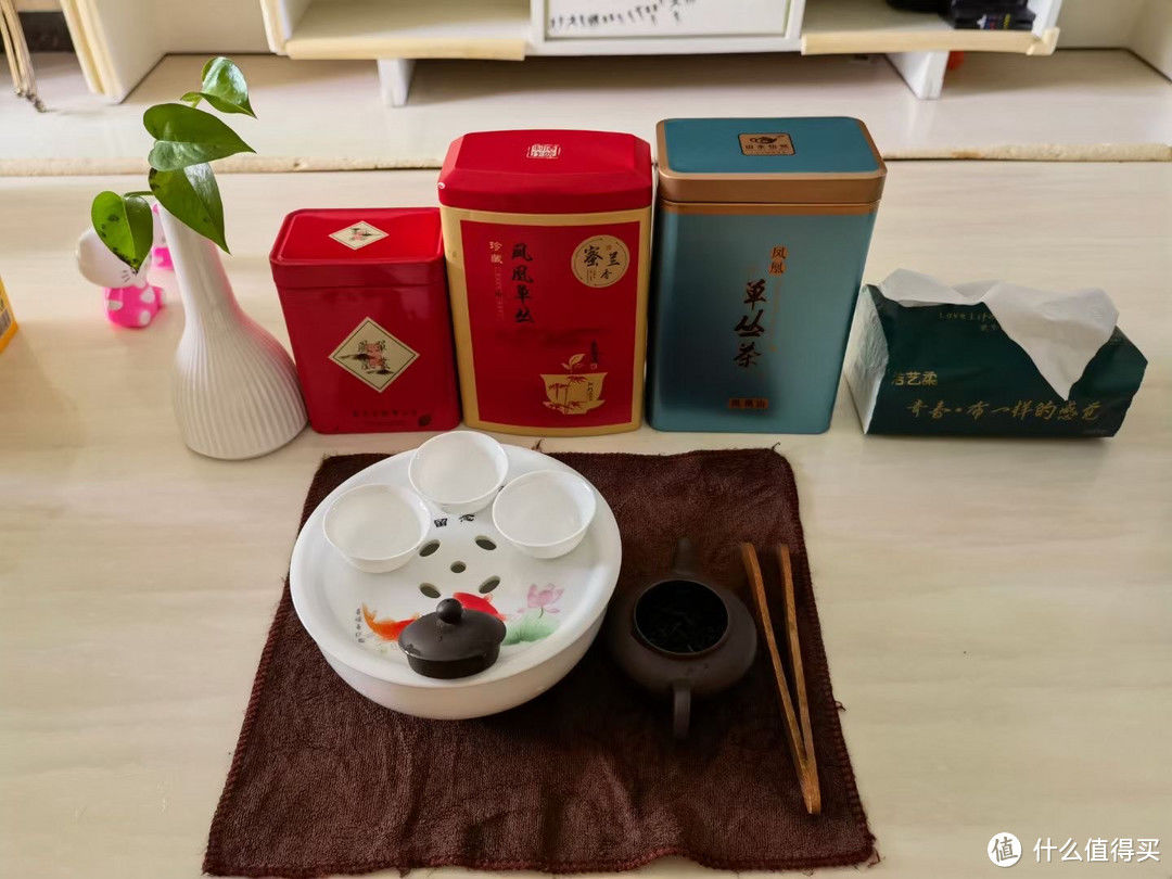 晚上熬夜，白天喝茶，将朋克养生进行到底！2023