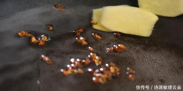 鲜美|秋冬进补正当时,这道菜让你边吃肉边喝汤,鲜美驱寒,滋阴润燥!