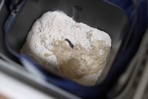  全麦|黑麦全麦香肠面包 100%全麦30%黑麦 无油无蛋无奶