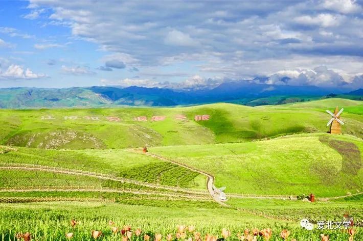 原创|原创丨记在新疆支教的日子