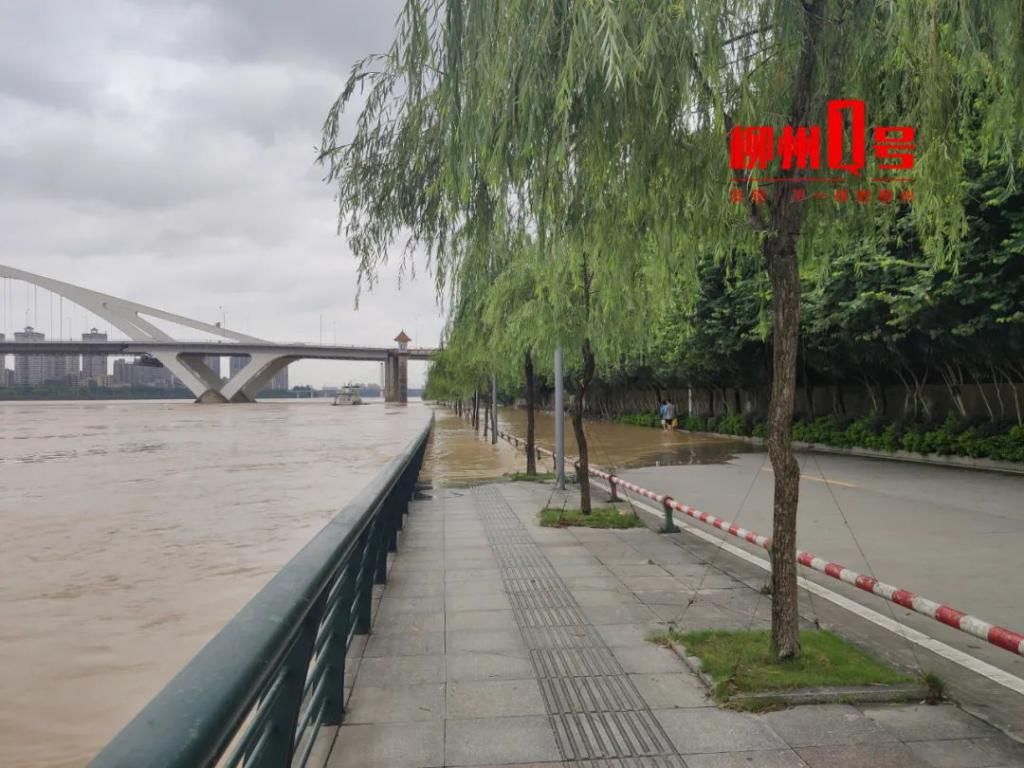  洪水|柳州这些县份遭遇洪水，滴滴打船出动！河水漫上金沙角亲水平台……