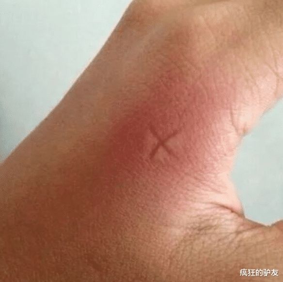  御厨|“同样在宫中，为什么御厨好好的，太监却不行呢？”哈哈哈哈...