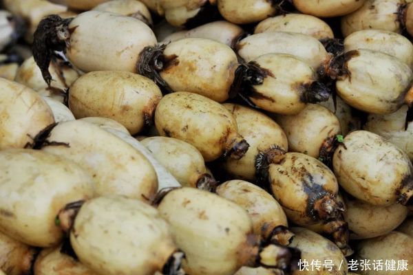 秋季，女人宁可不吃肉，也要吃“秋四宝”，美容养颜，做冻龄女人2023