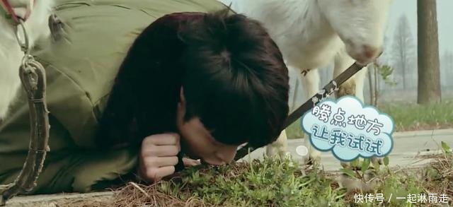 担当|《极限挑战》首期极限男人帮变味,搞笑担当反成了张艺兴