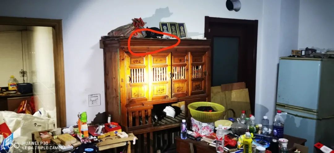 大风|奸滑老贼！5年3次被抓都判不了刑，这次又想出了一个奇葩理由：钱是几个月前大风刮过来捡的