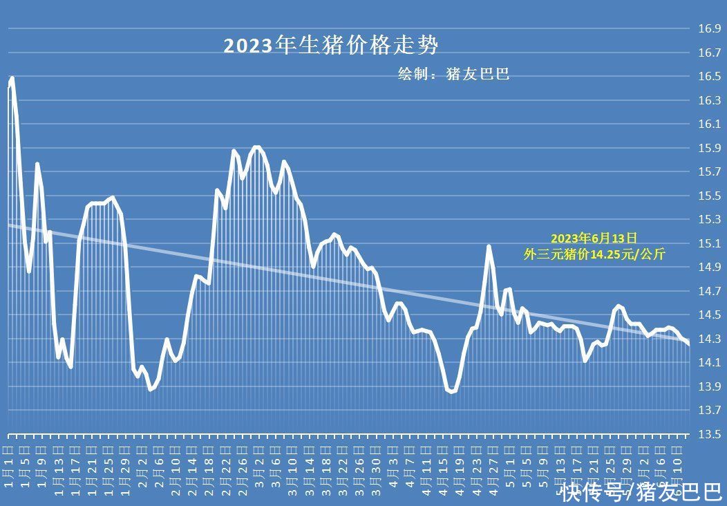 6月13日猪价：7跌1涨！猪价下跌有限，市场仍有筑底上涨预判！