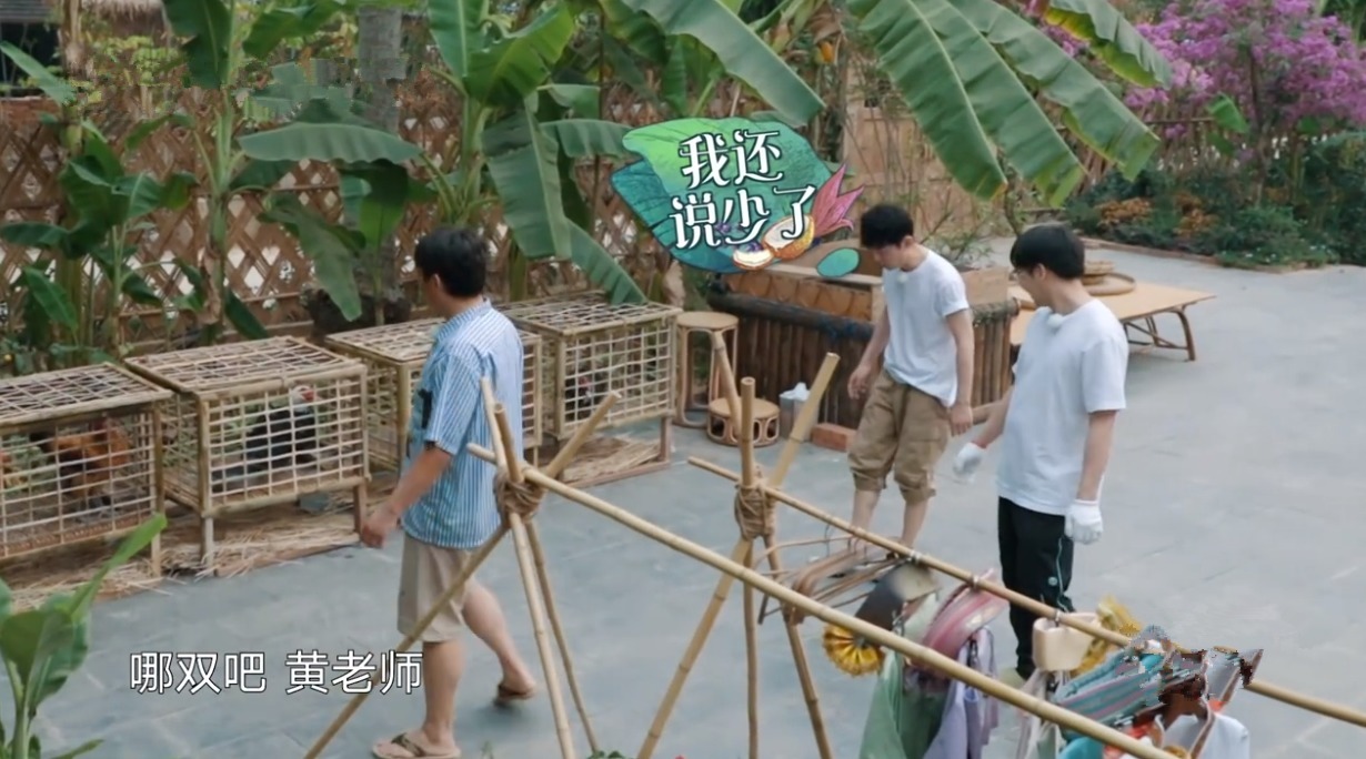 何老师|一只鸡要十捆香蕉!黄磊拿板砖“威胁”导演,周迅调侃彭彭太自恋