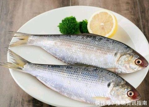 小方法|怎样保存鲜鱼直接放冰箱就错了,多加1步,随时吃都新鲜