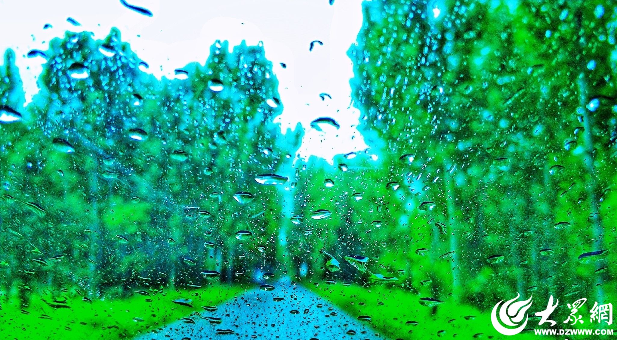 今日雨水：伴着春雨，一路向前！