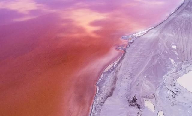 想象|不必远赴澳大利亚就能拥有的粉红湖、空中草原,西藏之西比想象中更惊艳!