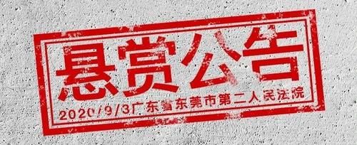 豪车|@虎门人,见过这些豪车快来举报!每辆车1000元