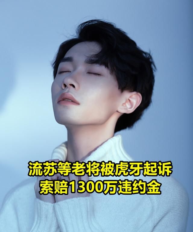  做法|AG流苏等老将被虎牙起诉，面临1300万违约金索赔，菲菲做法令人感动！