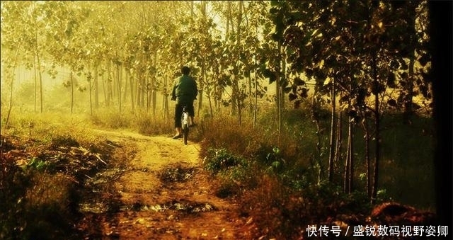 水果|父亲为什么总那么抠门?以前我特别看不惯,现在我终于理解了!