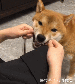 gif|搞笑gif:为了藏5元私房钱,又逼疯了一个