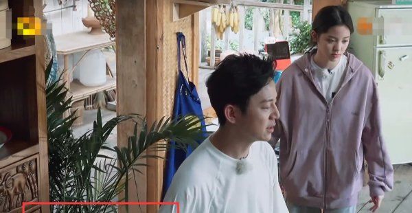  黄磊|《向往的生活》最金贵的嘉宾, 黄磊不敢让她干活, 因为赔不起!