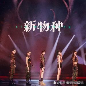  不少|《乘风破浪的姐姐》四公，火药味十足，霸气、性感一个不少！