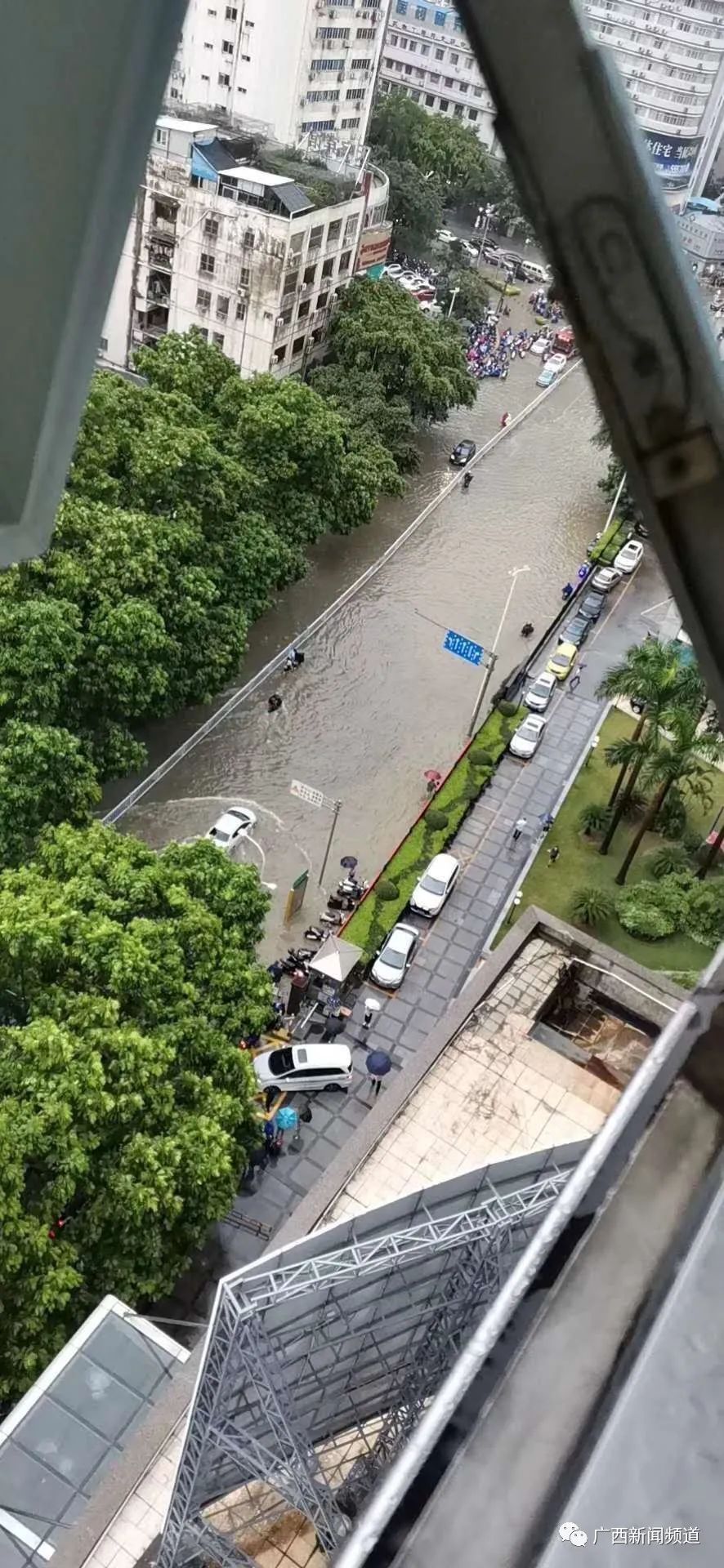 大雨|今天南宁“看海”了，未来几天广西这些地方也可能会有大雨