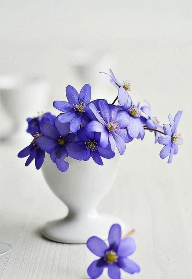 经典|经典幽默搞笑句子，开心有道理，拒绝郁闷无聊！